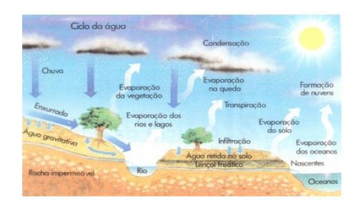 Ciclo hidrológico 15 É o fenômeno global de circulação fechada da água entre a superfície terrestre e a