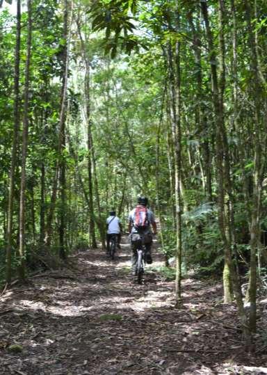 ATIVIDADES Cicloturismo O visitante pode pedalar com sua própria bicicleta por antigas estradas localizadas às margens do rio Itatinga.