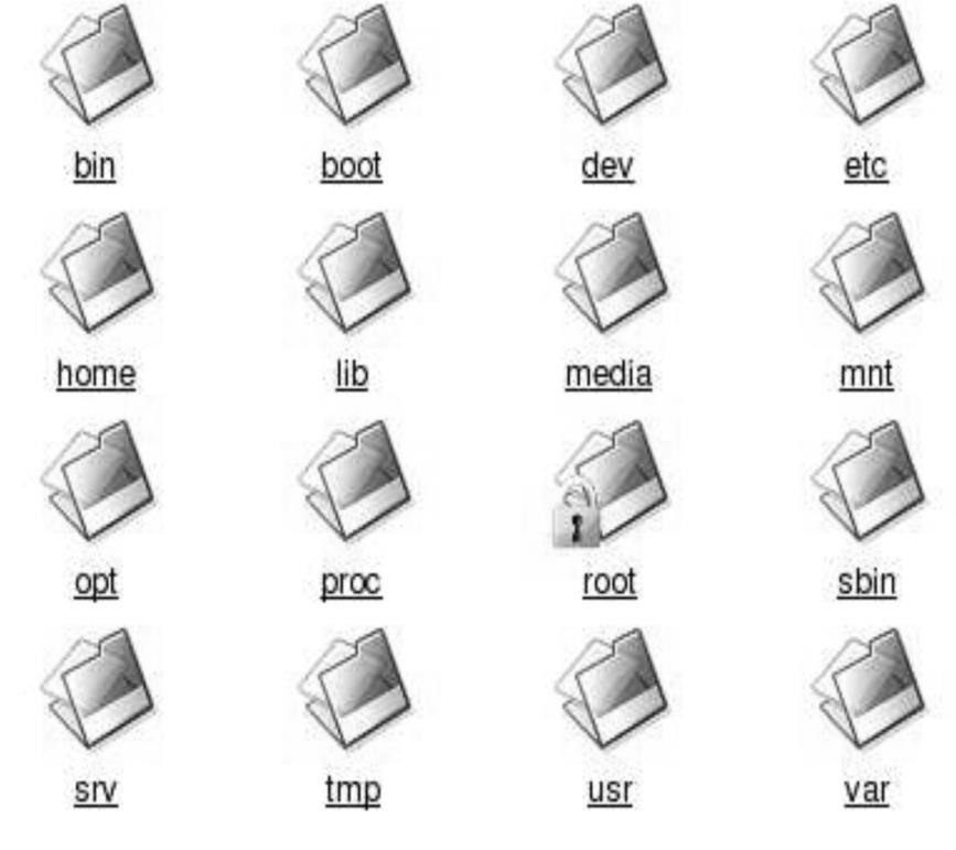 Estrutura de Diretórios O Linux possui uma estrutura de diretórios peculiar, objeto de uma série de padronizações e similar à que pode ser encontrada em versões comerciais