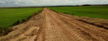 Em Santa Catarina cerca de 98% das lavouras de arroz já estavam implantadas no momento do levantamento de informações, restando poucas lavouras no sul do estado para serem semeadas, com previsão de