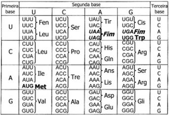 8. Dada uma lista de ácidos nucleicos e outra com suas funções são corretas as associações: I. RNA-t II. RNA-m III. RNA-r IV. DNA A.