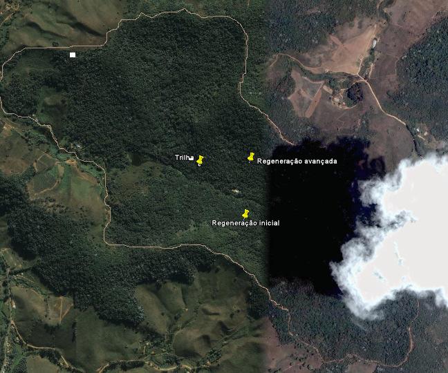Figura 1- Foto aérea da Reserva Mata do Paraíso, indicando os pontos amostrado para