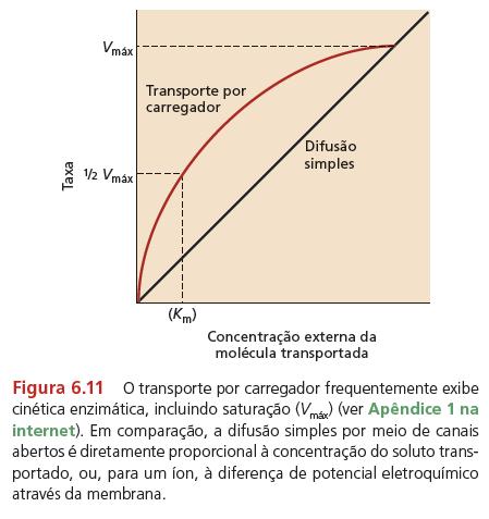 2. Sistemas de transporte através da membrana plasmática A taxa máxima de transporte de carregadores (proteínas transportadoras e canais não pode ser excedida,