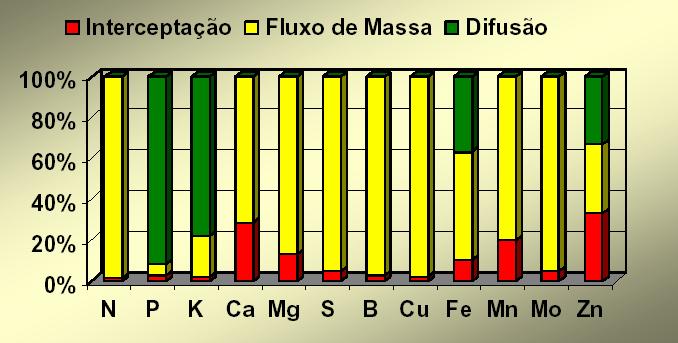 3. Movimento dos solutos do solo até a superfície das raízes O movimento dos nutrientes no solo para a