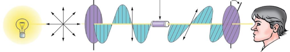O desvio do plano de vibração pode ocorrer em dois sentidos: a) desvio para o lado direito = isômero dextrogiro (d); b) desvio para o lado esquerdo =