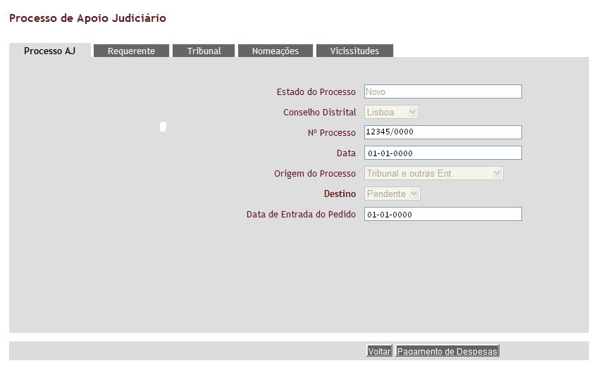 Após ter seleccionado o processo, será apresentada a seguinte área funcional (Fig.