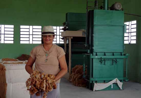 Algodão Orgânico Colorido: Gerando renda e cidadania na agricultura familiar do semiárido brasileiro Acesso ao mercado Outro grande resultado foi o acesso ao mercado justo.