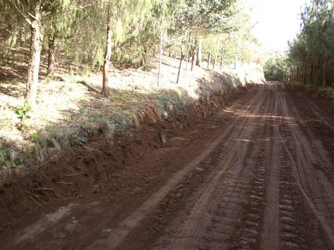 incêndios florestais para valores médios anuais inferiores a 1000