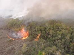 Fase do combate: reconhecimento O incêndio iniciou em 05/03 nos lagos dentro do Parque, perto da foz do rio Anauá.