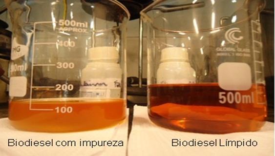 identificadas visualmente, como materiais em suspensão, sedimentos ou mesmo turvação na amostra de biodiesel, que pode ser decorrente da presença de água.