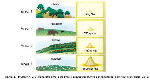 QUESTÃO 5 (CM 2016) ANALISE a imagem a seguir.