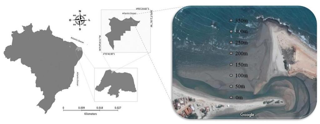 Introdução A faixa costeira de transição entre o continente e o oceano corresponde a cerca de 8% do ambiente marinho (Soares-Gomes et al., 2002).