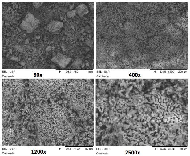 Figura 5: Microscopia da amostra de cascas de ovos calcinada.