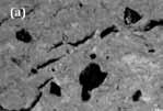 A micrografia da Figura 10a, cerâmica com 4% de coque queimado a 850 C apresenta uma coloração mais acinzentada em relação às demais.