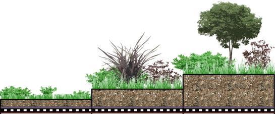 Capítulo II Coberturas Verdes Cobertura Extensiva Altura do Substrato: 6 a 20 cm Peso próprio: 60 a 150 kg/m 2 Vegetação: Musgos, ervas, sedum, gramíneas Custos: Baixo Manutenção: Baixa Irrigação: