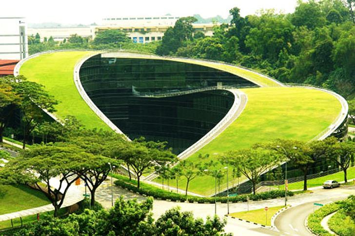 Capítulo II Coberturas Verdes Um exemplo de cobertura verde do tipo intensivo é a Escola de Arte, Design e Multimédia de Nanyang, Singapura (Figura 17).