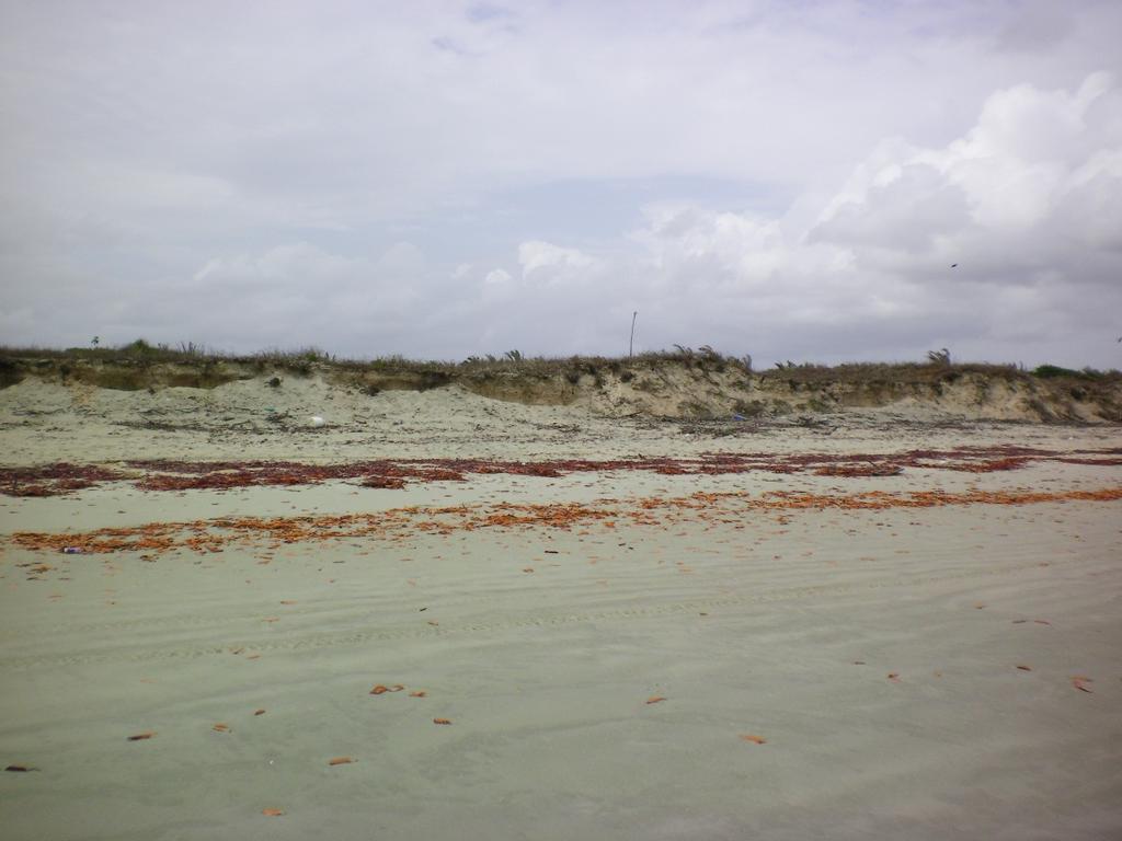 Figura 4.1-5: Areias Eólicas na praia de Panaquatira S. José de Ribamar.