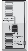 Considere determinada região cuja insolação potência solar incidente na superfície da Terra seja de 800 watts/m 2.