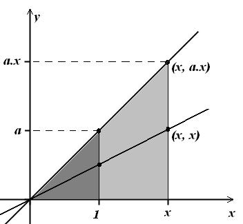 Figura 4: Transformação de dilatação vertical aplicado ao gráfico da função y = x A última conversão de registro, que vamos fazer, diz respeito à reta r em qualquer posição no plano.