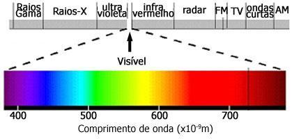 Os olhos, órgãos receptores, conseguem receber radiação eletromagnética dentro de uma faixa específica, denominada espectro visível.