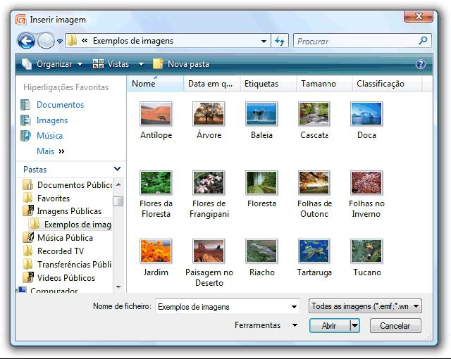 Poderá importar imagens de outros programas acedendo ao menu Inserir e escolher o botão Imagem.
