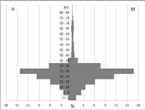 Figuras 3a e 3b - Pirâmides Etárias dos nacionais e dos naturais de Angola (Censo de 2001) Fonte: INE, Censo de 2001 Figuras 4a e 4b - Pirâmides Etárias dos nacionais e dos naturais de França (Censo