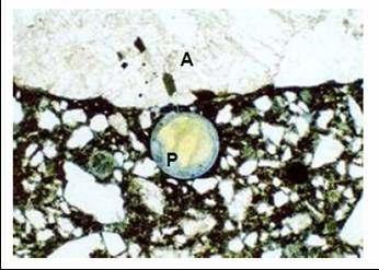 34 Figura 3. Fotomicrografia de um poro de concreto preenchido com gel (PECCHIO, KIHARA, BATTAGIN, ANDRADE, 2006). 2.8.