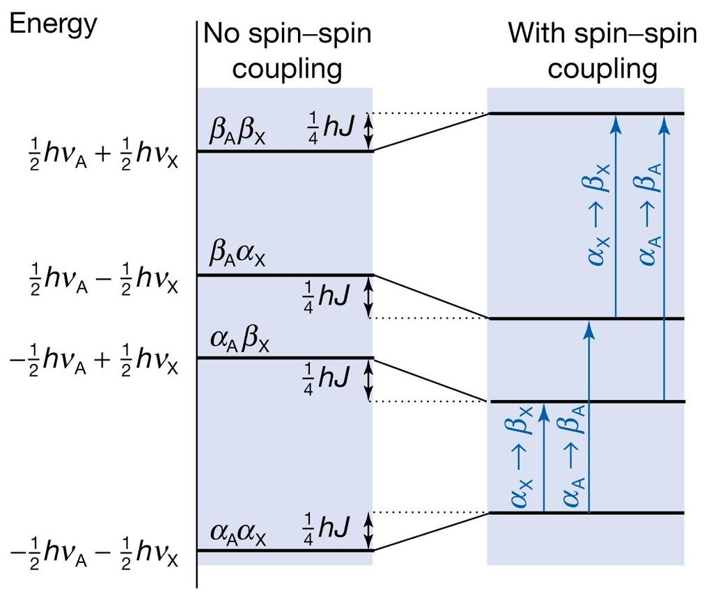 Acoplamento spin-spin AX J AX >0 J AX Constante de acoplamento E m h B