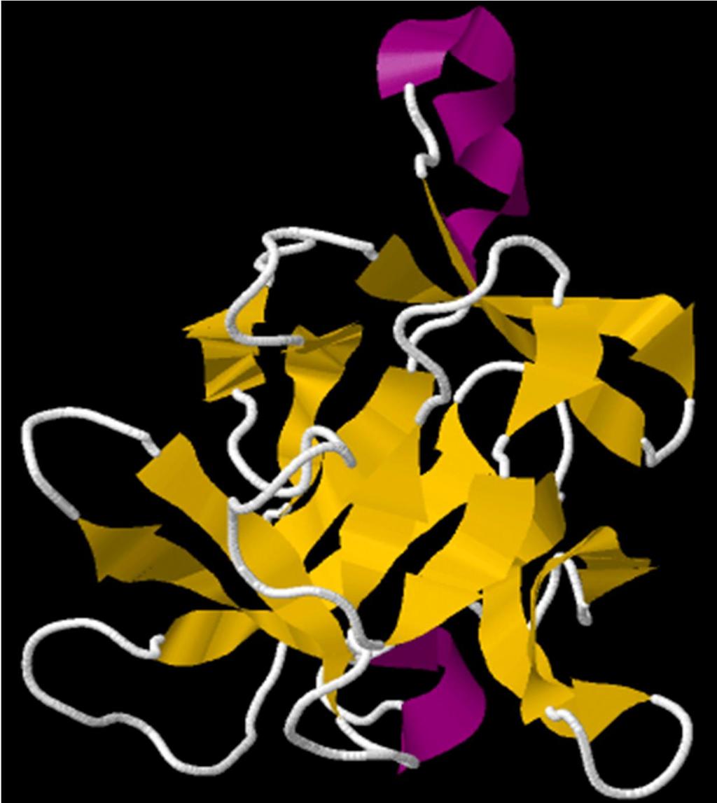 1ª estrutura 3D de proteína determinada com alta resolução através de RMN foi a Interleucina 1β