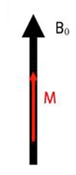 Os espectros de RMN, em geral, são classificados de acordo com a frequência de Larmor do ¹H, a qual