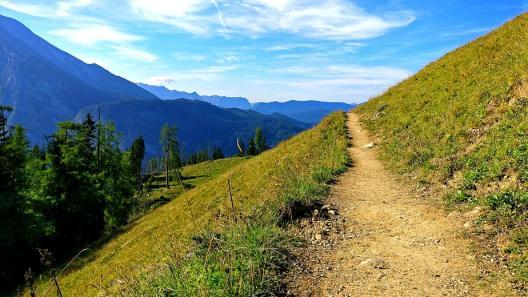 Áreas selvagens Áreas selvagens são ambientes naturais que não foram