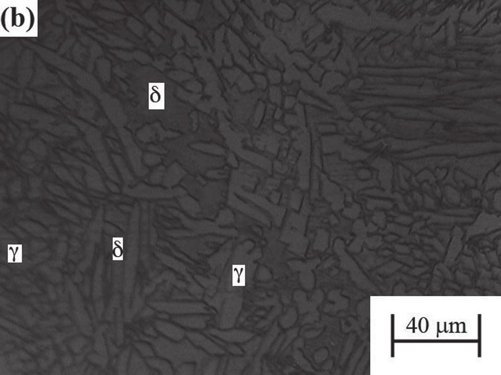 Resultados e Discussão A Figura 7 mostra diversos locais do metal de solda correspondente à junta soldada JPF1 observando-se claramente as fases ferrita (d) e austenita (g) onde esta última fase