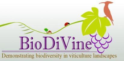 Biodiversidade funcional nas vinhas da RDD Investigação em