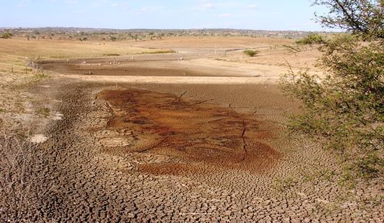 Problemática nas Regiões de Cultivos com Águas com Baixa Salinidade (menores que 5