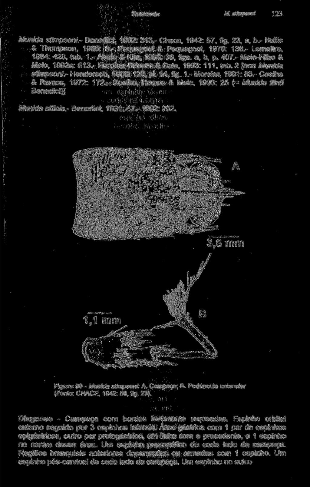 M. stimpsoni 123 Munida stimpsoni.- Benedict, 1902: 313.- Chace, 1942: 57, fig. 23, a, b.- Bullis & Thompson, 1965: 9.- Pequegnat & Pequegnat, 1970: 136.- Lemaitre, 1984: 428, tab. 1.- Abele & Kim, 1986: 36, figs.