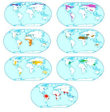 23. Associe corretamente a lista de biomas mundiais com a coluna das características e, em seguida, com