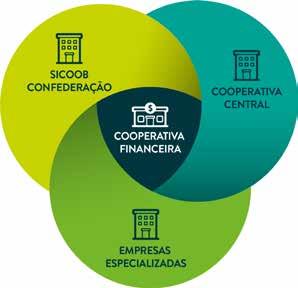 COMO É organizado O SISTEMA SICOOB COOPERATIVA SINGULAR As cooperativas de crédito singulares do Sicoob, são instituições financeiras resultantes da união de pessoas integrantes de segmentos