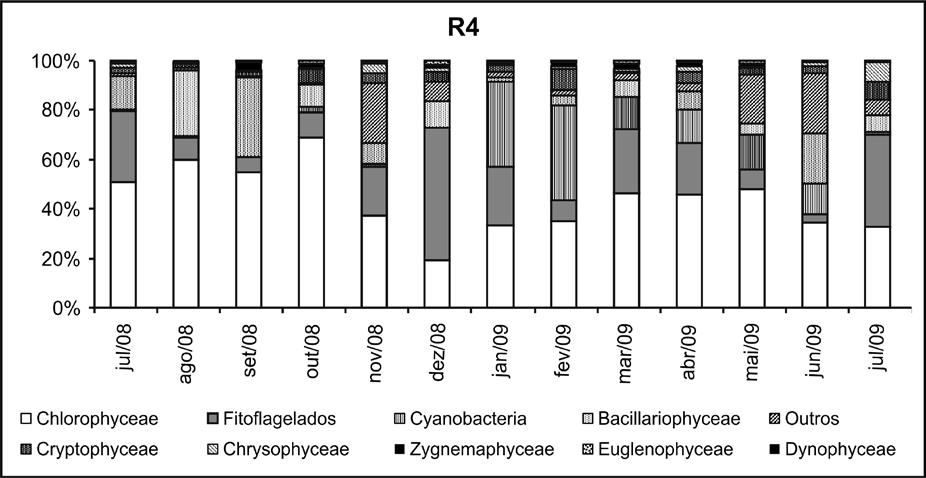 De modo geral, a variação anual das classes do fitoplâncton e as densidades do fitoplâncton total na Estação R1 foram similares àquelas observadas na estação R4 (Figuras 16 e 17).