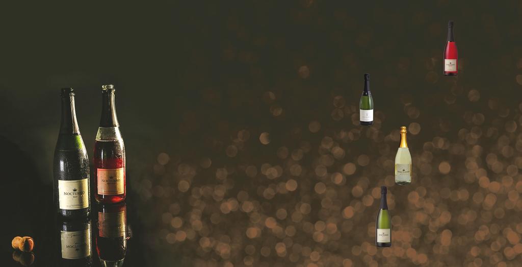 4 5 ESPUMANTES DA ARGENTINA Nocturno Brut Rosé R$ 54 Nocturno Produzido em parceria com a vinícola Dante Robino, na região de Mendoza-Argentina, exclusivamente para os paladares mais exigent e s d o