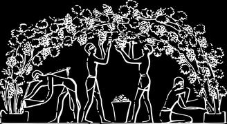 HISTÓRIA DO VINHO ORIGEM (10000 a.c.) Na era paleolítica já se utilizavam uvas selvagens para a produção de vinhos.