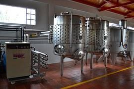O vinho é obtido através da fermentação natural do