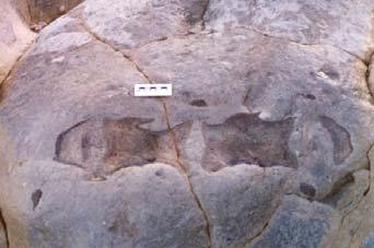 (140 a 65 Ma) e o Miocénico (24 a 5 Ma).