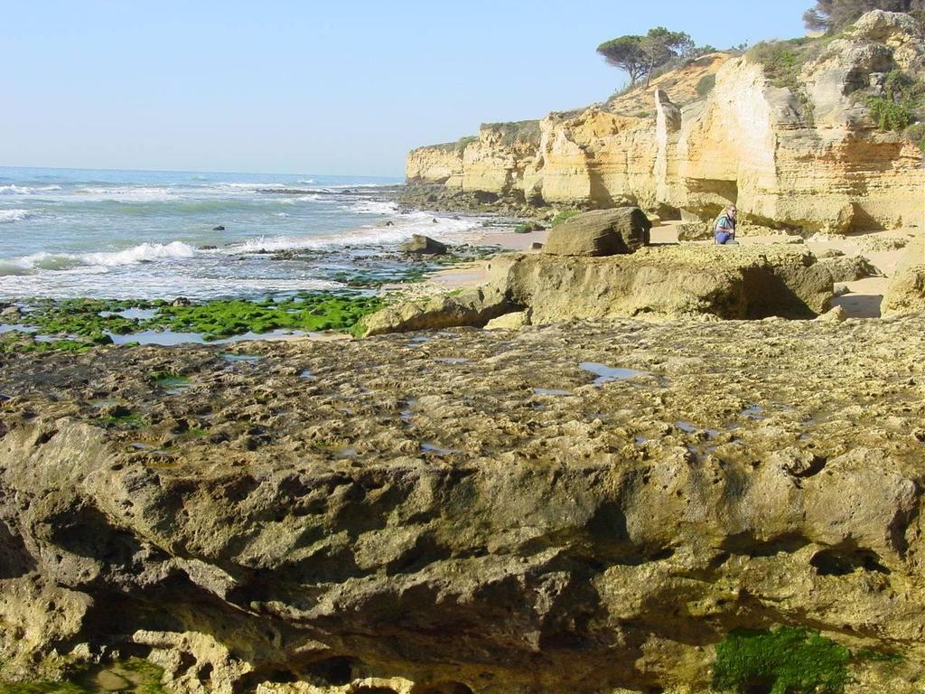 O LITORAL DO CONCELHO DE ALBUFEIRA O principal suporte físico é a Formação Carbonatada de Lagos-Portimão, do Miocénico, embora a W de