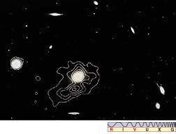 Contornos de um mapa rádio de uma típica rádio-galáxia core-halo : A emissão vem