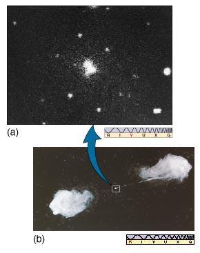 (a) Cygnus A: provável resultado da colisão de duas galáxias (imagem optico) (b) Imagem rádio mostra