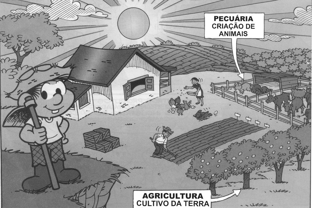 c) ( ) espaço urbano. 23) Observe estas imagens que se relacionam ao meio rural.