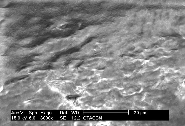 Microscopia eletrônica de varredura O MEV mostrou que as esferas QTa/CCM (Figura 2a) têm superfície mais rugosa do que