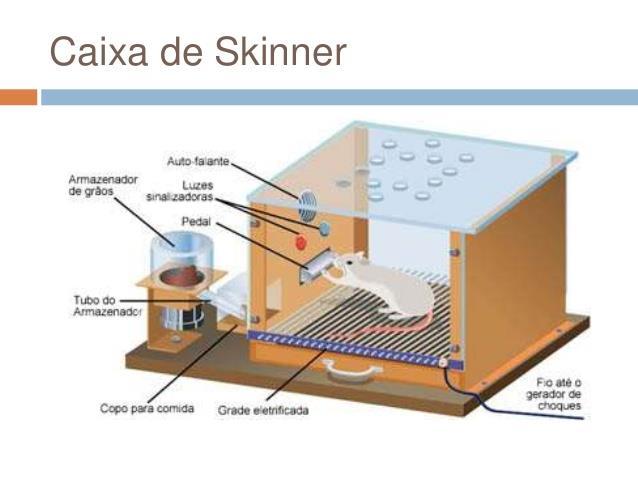 TEORIA DO REFORÇO DE SKINNER www.admvital.