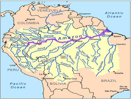 vegetação, como Mata de Terra Firme (não sofre inundações), Mata de Várzea (margens de rios que sofrem inundações), Mangue (porção litorânea do Estado), Campos e Cerrados.