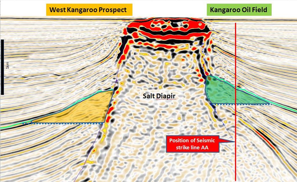 Bacia de Santos Descoberta de Petróleo Kangaroo-1 Recursos contigentes Kangaroo: Avaliados de acordo com as normas do Sistema de Gestão de Recursos Petrolíferos (PRMS, na sigla em inglês).